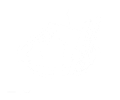 Curtis Lumber WHITE